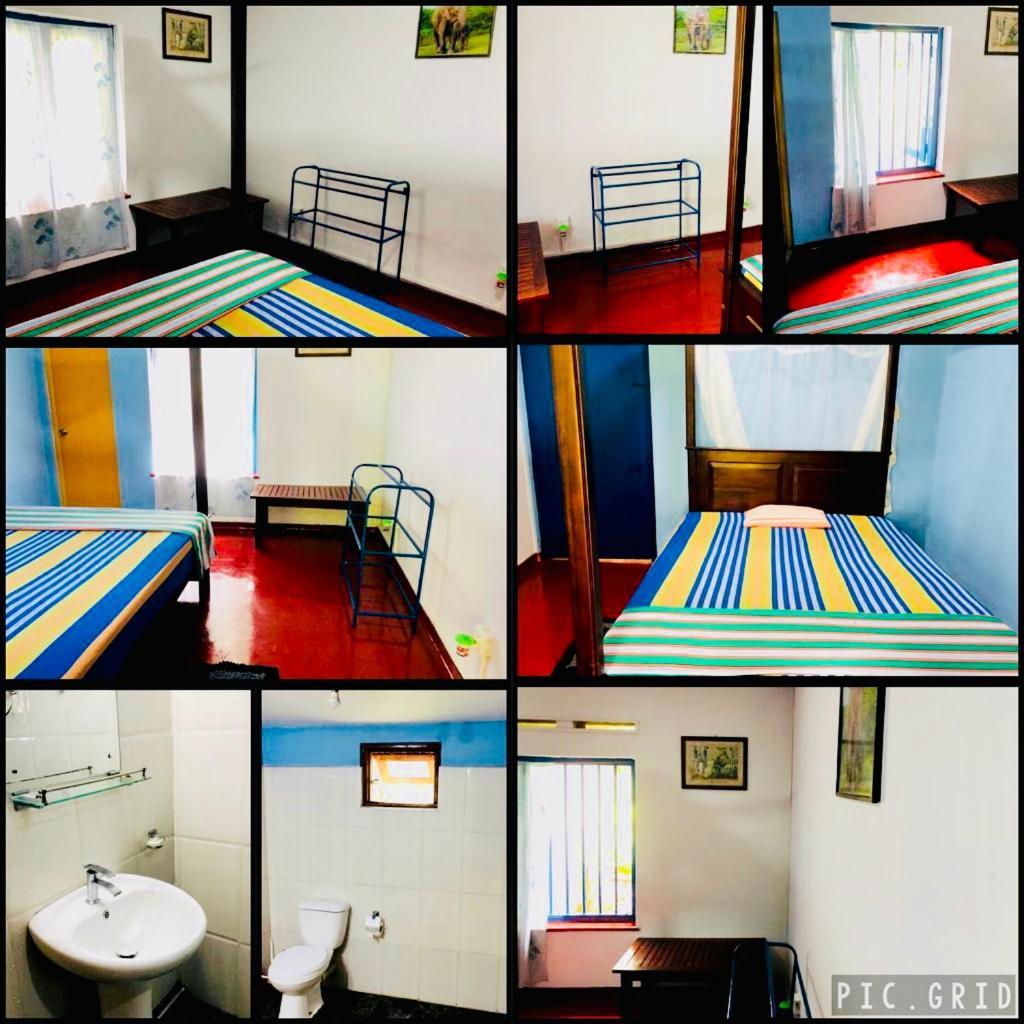 Homefeel Homestay Tangalle Exterior foto