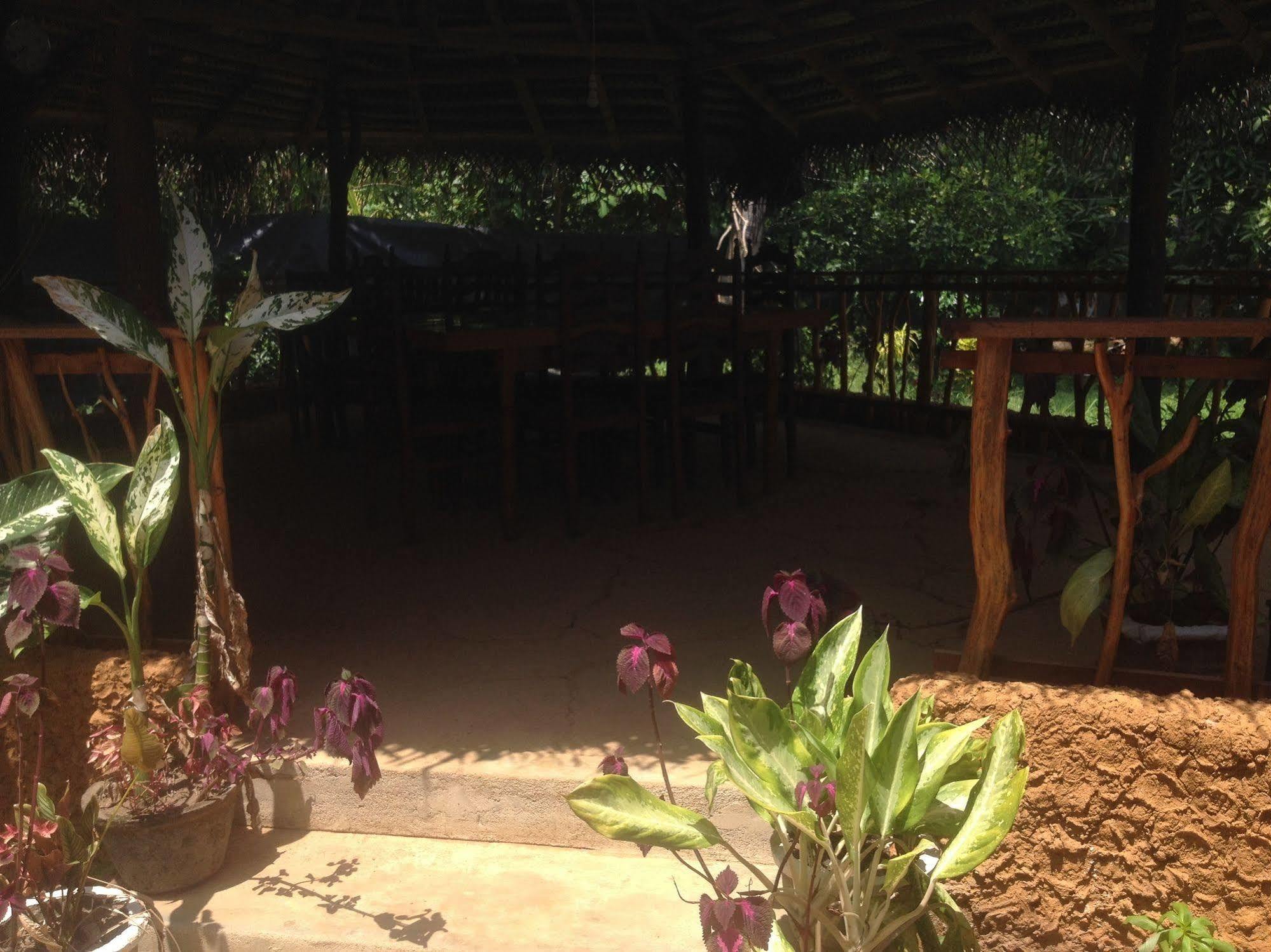 Homefeel Homestay Tangalle Exterior foto